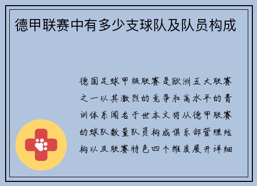 德甲联赛中有多少支球队及队员构成