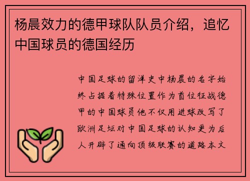 杨晨效力的德甲球队队员介绍，追忆中国球员的德国经历